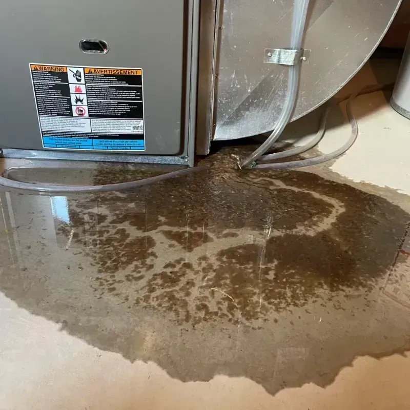 Appliance Leak Cleanup in Hollidaysburg, PA